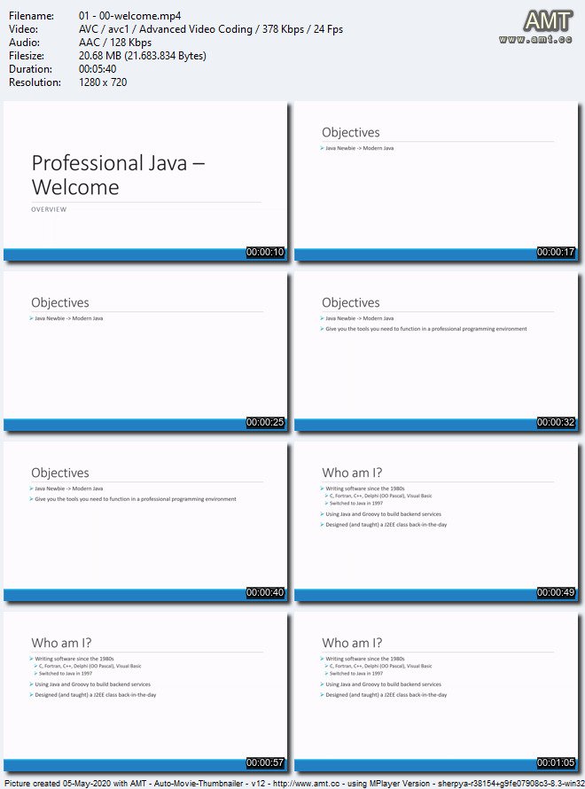 Professional Java