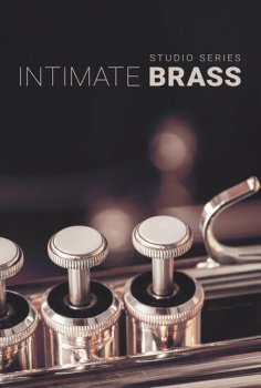 8dio Intimate Studio Brass KONTAKT-DECiBEL screenshot