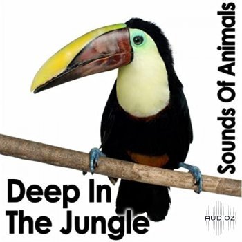 Pro Sound Effects Library Sounds of Animals Deep in the Jungle FLAC screenshot