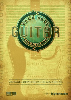 Big Fish Audio Vintage Guitar Loops MULTiFORMAT screenshot