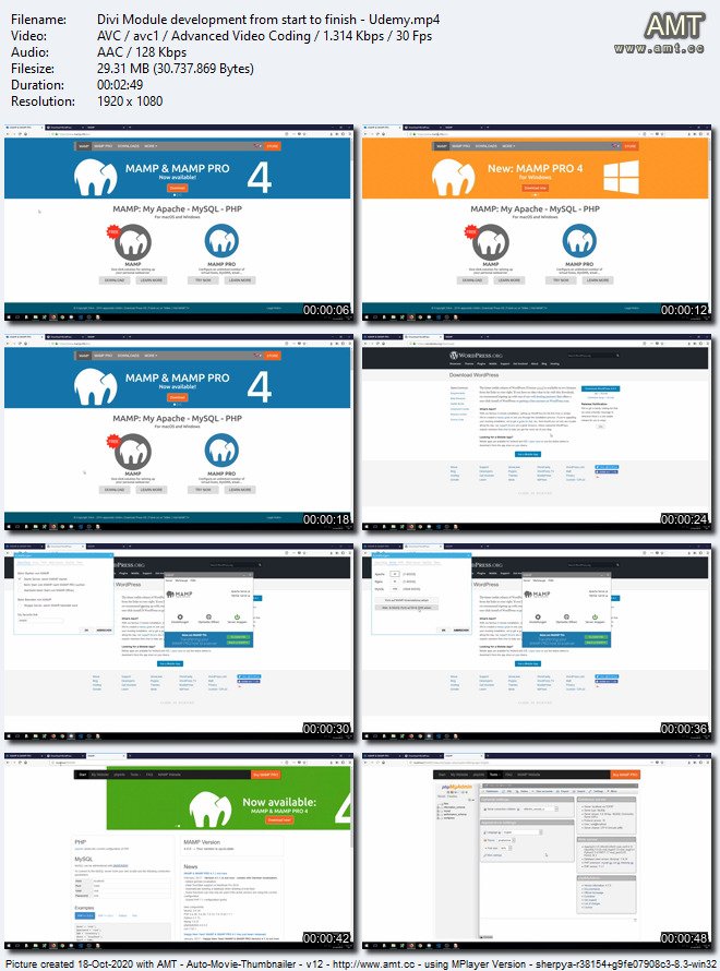 Divi Module development from start to finish