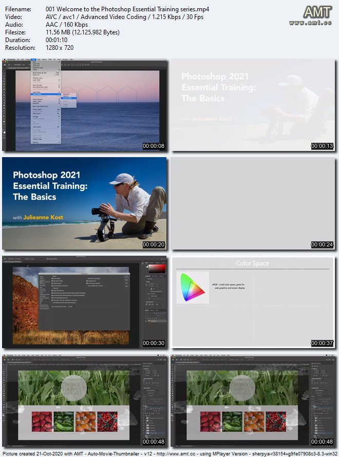 Photoshop 2021 Essential Training: The Basics