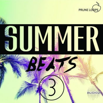 Prune Loops Summer Beats Vol 3 MULTiFORMAT-DECiBEL screenshot