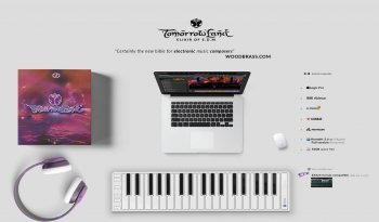 Design My Beat TomorrowLand Elixir of EDM KONTAKT screenshot