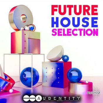 Audentity Records Future House Selection MULTiFORMAT-DECiBEL screenshot