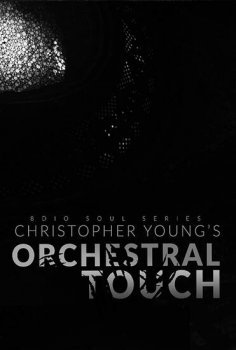 8dio Soul Series Christopher Young: Orchestral Touch KONTAKT-DECiBEL screenshot