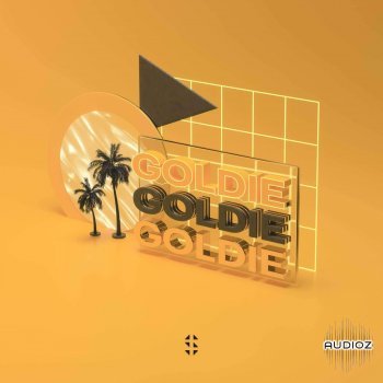 Samplified Goldie WAV-FLARE screenshot