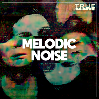 True Samples Melodic Noise MULTi-FORMAT-DISCOVER screenshot