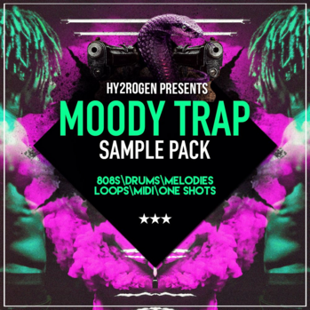 Hy2rogen Moody Trap MULTi-FORMAT-DISCOVER screenshot