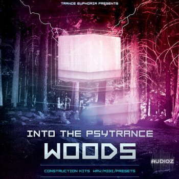 Trance Euphoria Into The Psytrance Woods MULTiFORMAT-DECiBEL screenshot