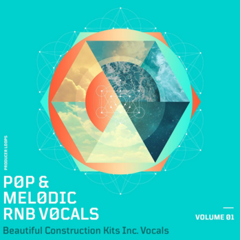 Producer Loops Pop And Melodic RnB Vocals Volume 1 WAV MiDi-DISCOVER screenshot