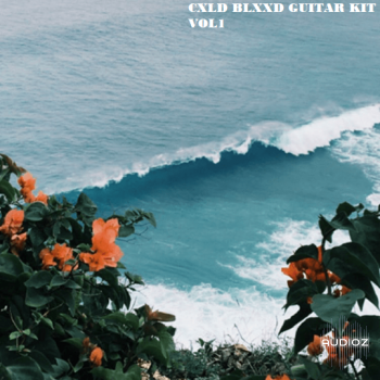 CXLD BLXXD Guitar Kit VOL1 WAV screenshot