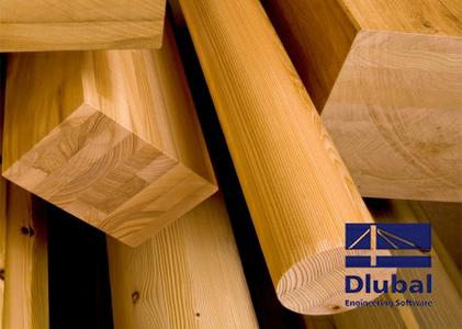 Dlubal RX-TIMBER 2.24.01 x64 Multilingual