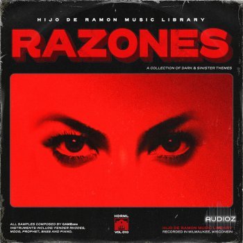 Hijo De Ramon Music Library Vol. 10 Ramones (Compositions and Stems) WAV