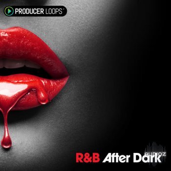 Producer Loops RnB After Dark MULTiFORMAT-DECiBEL screenshot