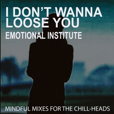 Various Artists – I Don’t Wanna Loose You – Emotional Institute (2021)