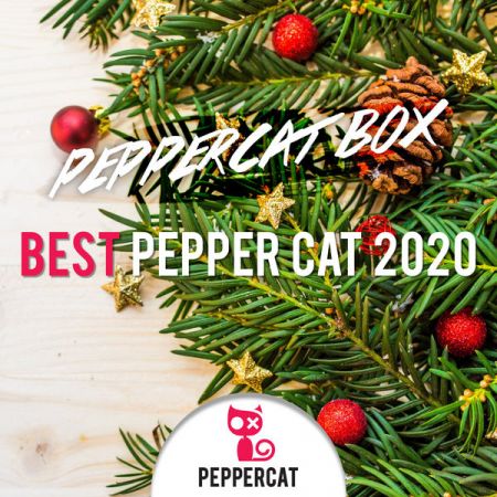 Various Artists – Best Pepper Cat 2020 (2021)