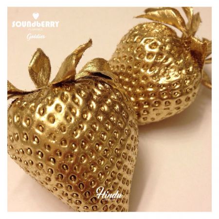 Various Artists – Soundberry (Florence) (Goldies) (2021)