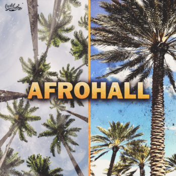 Cartel Loops Afrohall WAV MiDi-DISCOVER screenshot