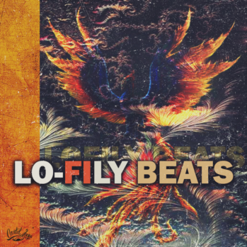 Cartel Loops Lo-Fily Beats WAV MiDi-DISCOVER screenshot