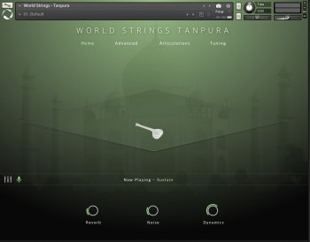 Evolution Series World Strings Tanpura v1.0.0 KONTAKT screenshot