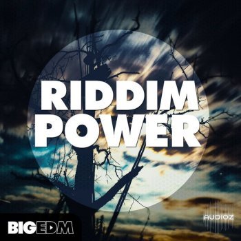 Big EDM Riddim Power WAV MiDi SERUM screenshot