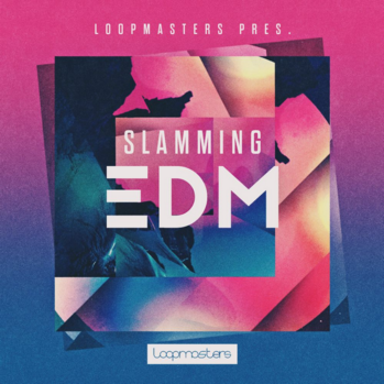 Loopmasters Slamming EDM MULTi-FORMAT-DISCOVER screenshot