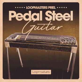 Loopmasters Pedal Steel Guitar MULTi-FORMAT-DISCOVER screenshot