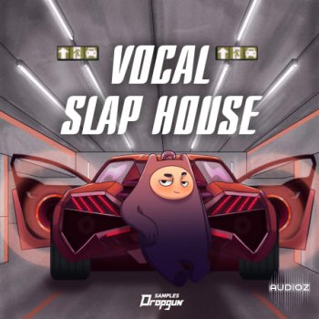 Dropgun Samples Vocal Slap House WAV-FANTASTiC screenshot