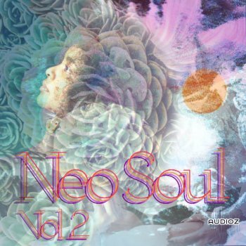 Drumdrops Neo Soul Vol. 2 WAV-FANTASTiC screenshot