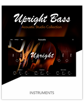 Muze Upright Bass KONTAKT