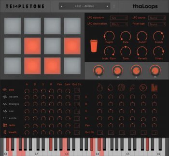 ThaLoops Templetone v1.0 RETAiL AU VST [WIN OSX]-DECiBEL screenshot