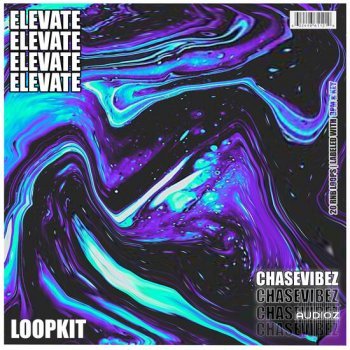 Chase Vibez Elevate RnB LoopKit WAV-DECiBEL screenshot