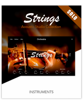 Muze Strings Solo KONTAKT screenshot