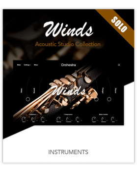 Muze Woodwinds Solo KONTAKT screenshot