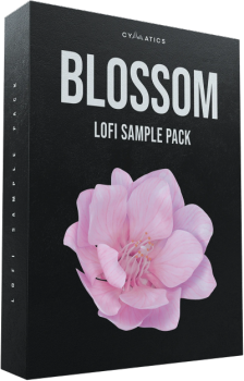 Cymatics Blossom Lofi Sample Pack WAV screenshot