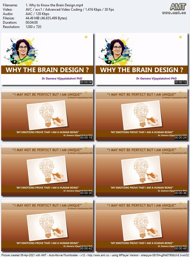 The beginners course to understand The Brain Design