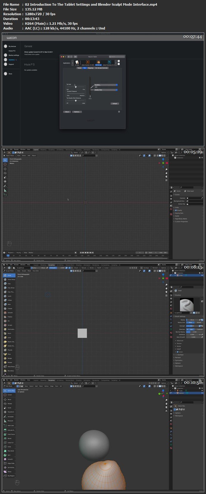 Introduction To Blender Sculpting