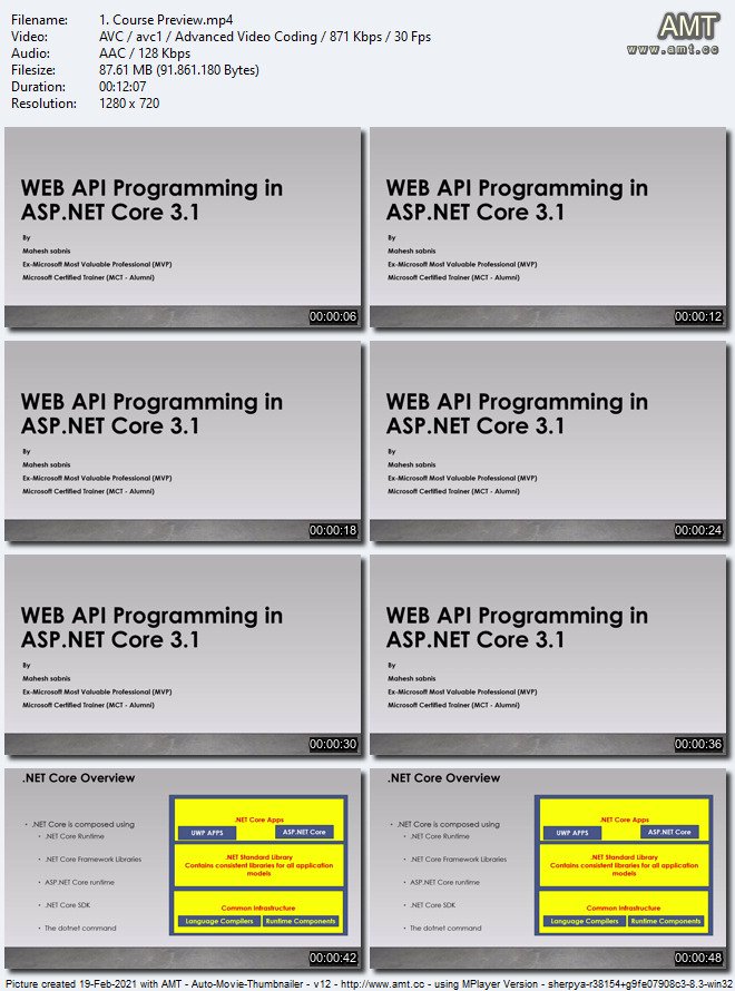 WEB API Programming in ASP.NET Core 3.1