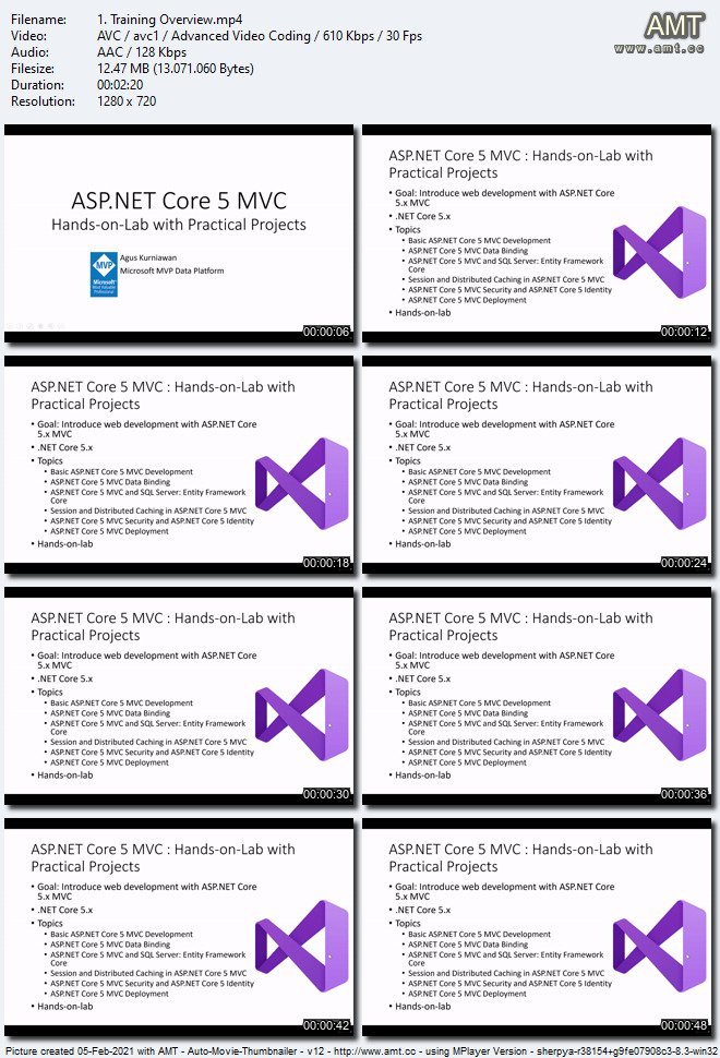 ASP.NET Core 5 MVC : Hands-on-Lab with Practical Projects