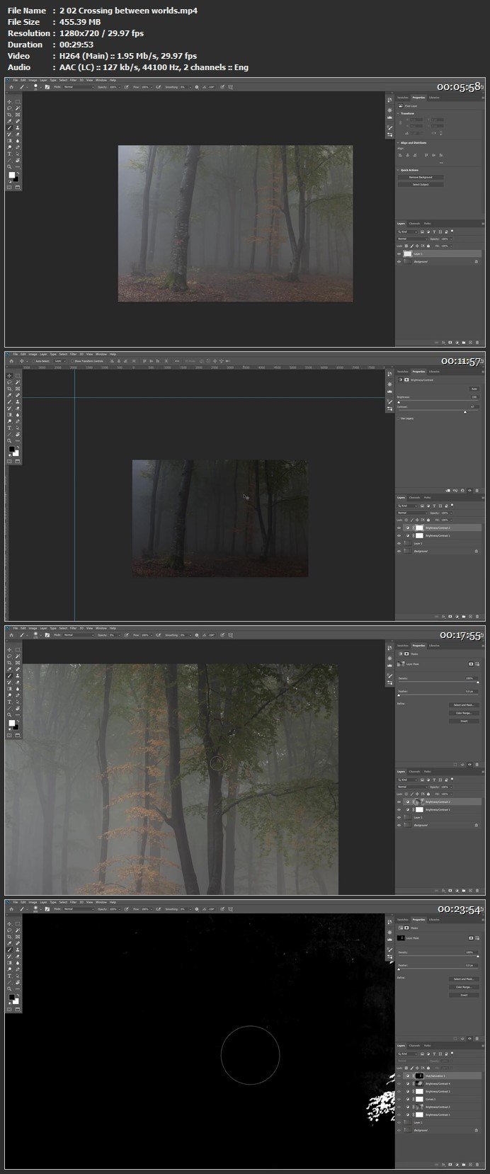 Editing Foggy Forests in Photoshop