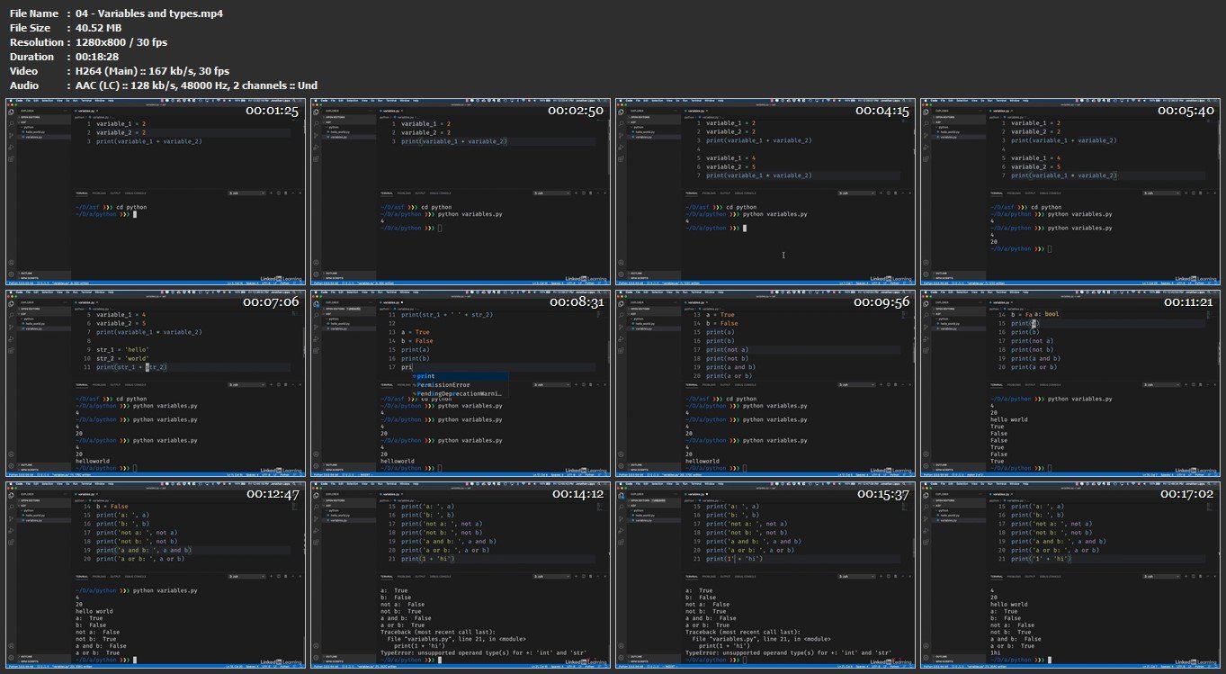 Test Automation with Python: 2 Python for Testers