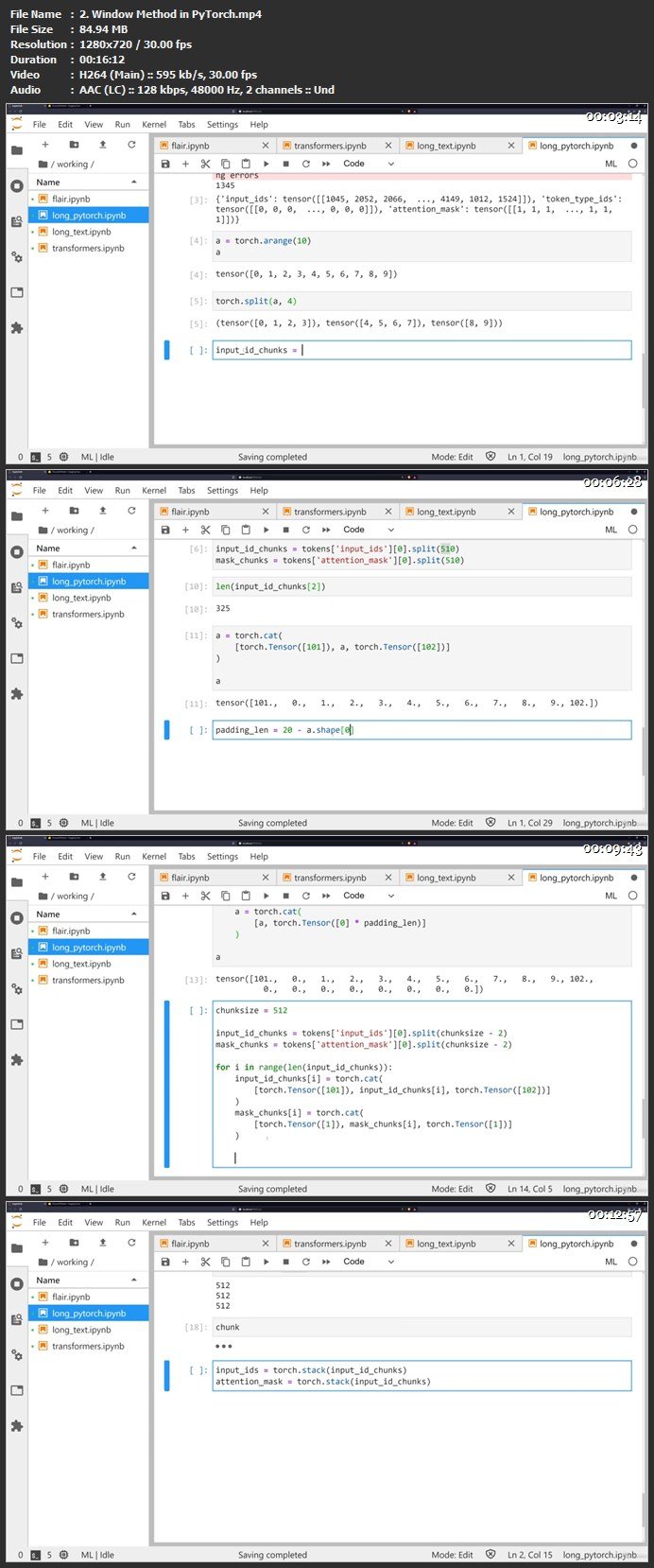 Natural Language Processing with Transformers in Python