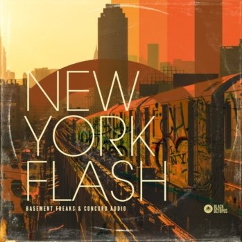 Black Octopus Sound New York Flash WAV-DISCOVER screenshot