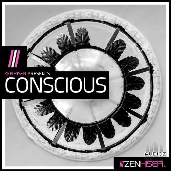 Zenhiser Conscious WAV screenshot