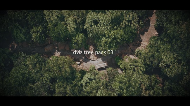 DVIZ – Unreal Engine Tree and Forest Pack 03