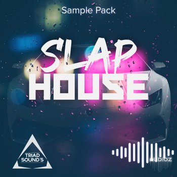 Roland Cloud Slap House by Triad Sounds WAV MiDi-DEUCES screenshot