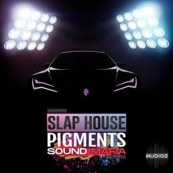 Sound Mafia Slap House Pigments MULTiFORMAT-DECiBEL screenshot