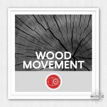 Big Room Sound Wood Movement WAV-FANTASTiC screenshot