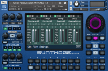 Júnior Porciúncula SYNTHAGE v1.4 KONTAKT screenshot